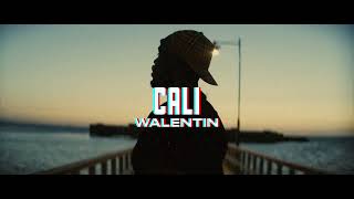 HAVAL x Gilli Type Beat   CALI  Prod Walentin [upl. by Aicat589]