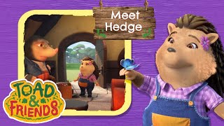 Lets Meet The Brilliant Hedge 🦔 Toad amp Friends Official  Lovely Stories For Kids [upl. by Rogergcam]