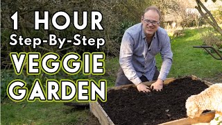 New Vegetable Garden How To Get Started [upl. by Ophelie]