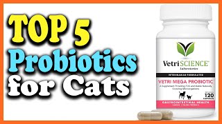 ✅Top 5 Best Probiotics for Cats of 2022 [upl. by Nedac]