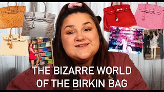 The Bizarre World Of Birkin Bags a rant [upl. by Uis]