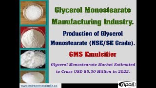 Glycerol Monostearate Manufacturing Industry  Production of Glycerol Monostearate NSESE Grade [upl. by Cadell]