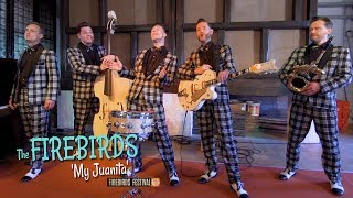 My Juanita THE FIREBIRDS Firebirds Festival BOPFLIX sessions [upl. by Yednarb]