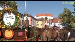 Volksfest Parsberg 2017  Standkonzert  Volksfestzug [upl. by Magdala172]