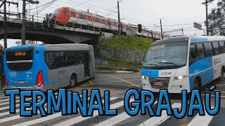 Terminal Grajaú  Movimentação de Ônibus 49 [upl. by Frasquito547]