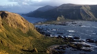 Macquarie Island 1958 Long Version [upl. by Bloem]