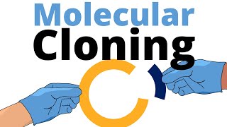 Molecular Cloning explained for Beginners [upl. by Relyat]