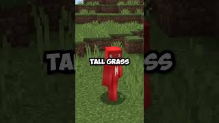 Did You Notice Minecrafts Grass Change [upl. by Anohr41]