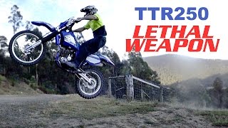 Totally epic Yamaha TTR250 review Japans lethal enduro weapon︱Cross Training Enduro [upl. by Janeen364]