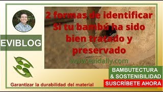 🚦2 formas de saber cómo identificar si un culmo o caña de bambú ha sido bien tratado y preservado🚦 [upl. by Akenn]