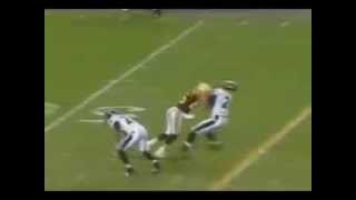 Hines Ward Levels Ed Reed [upl. by Ardnaeel]