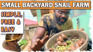 Start A Simple Backyard Snail Farm  A Cheap Simple And Easy StepByStep Guide [upl. by Nerrej]