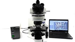 Olympus BX51 Microscope BOSTONIND  GLMC [upl. by Ecyle720]