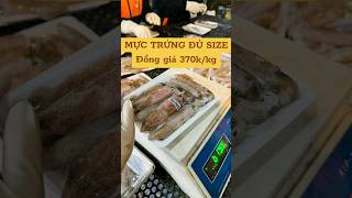 MỰC TRỨNG VIP ĐỦ SIZE CHO KHÁCH LỰA CHỌN [upl. by Hartill761]