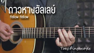 ดาวหางฮัลเลย์  FELLOW FELLOW Fingerstyle Guitar Cover TAB [upl. by Marianne968]