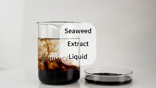 Humico Seaweed Extract Liquid Fertilizer  Unlock the Power of Nature 🌊 100 Water Solubility [upl. by Navlys]