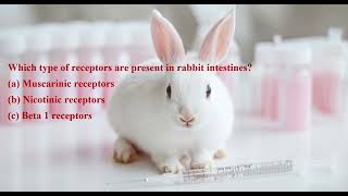 type of receptor precent on rabbit intestine [upl. by Alo]