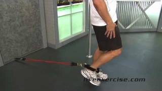 HOW TO DO Leg Extension Exercises with Resistance Bands [upl. by Ahsed]