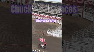 Stampede Evening Races calgary race horse stampede shorts [upl. by Elleuqar]