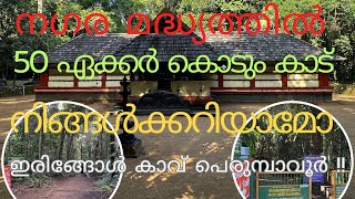 നിഗൂഢതകളും വിശ്വാസങ്ങളും നിറഞ്ഞ ഇരിങ്ങോൾ കാവ് TravelWithAnil8154 [upl. by Lillith]