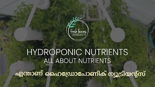 Preparing Hydroponic Nutrients  Part 1 All about Nutrients  Explained in Malayalam [upl. by Ayidan]