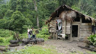 Restore a Single Mom Abandoned Farm Clean up the garden  EP 01 [upl. by Bell788]