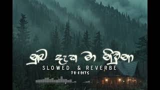 Sasindu Raveen  Numba Daka Ma  නුඹ දැක මා නිවුනා  slowed amp reverb [upl. by Harsho]