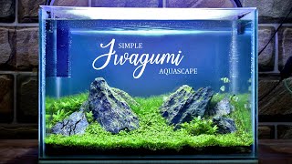 ☘️🌱 Easy Dirted Planted Aquarium Setup  Iwagumi Aquascape ⛰️🐠 [upl. by Idnor]