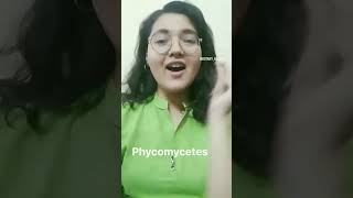 Phycomycetes 💚botany mnemonic neet tricks neetpreparation [upl. by Htes]