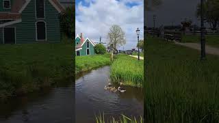 Zaanse Schans Netherlands [upl. by Enomrej]