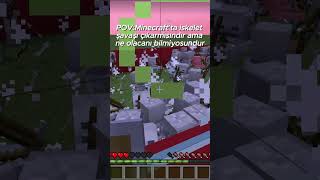 POV Minecraft iskelet şavaşı çıkarmışsındır ama ne olacagını bilmiyorsundur [upl. by Ong]