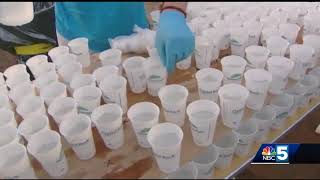 Runners will get shots of maple syrup at Vermont City Marathon [upl. by Wadsworth]