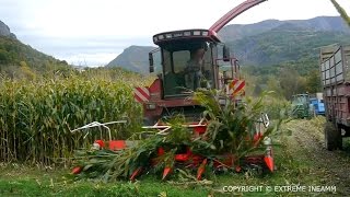 LENSILAGE DE MAIS  UN MOMENT DE PARTAGE  SILAGE HARVESTING CASE IH 7400 [upl. by Arick108]