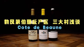 勃艮第伯恩丘产区三大村浅谈 Three Iconic villages in Cote De Beaune Burgundy [upl. by Jakob]