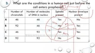 A LEVEL CAIE MITOTIC CELL CYCLE  SERIES ONE [upl. by Earvin]