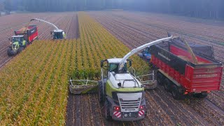 Mais 2022  Corn Harvest XXL  Claas Jaguar 980 amp 970  10 Claas amp New Holland tractors  Piening [upl. by Atsylac]