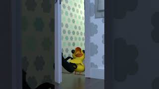 So scary 😱🕷️ humor babyduck spiders [upl. by Adrahc]