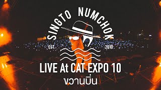 SINGTO NUMCHOK  ขวานบิ่น 「 CAT EXPO 10  Live Concert 」 [upl. by Booth]