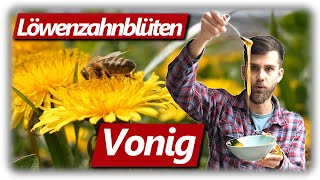 Löwenzahnblüten Vonig machen kein Honig  Sirup Anleitung Schritt für Schritt und Verkostung [upl. by Ilzel939]