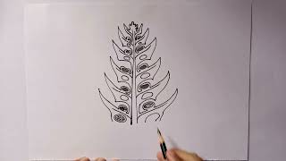 Lycopodium BSc Botany  how to draw lycopodium  how to draw lycopodium leaf anatomy diagram [upl. by Bray]