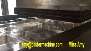 FullAutomatic VacuumForming And Cutting Integrated Thermoforming Machine [upl. by Zitvaa739]