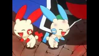 Plusle amp Minuns Sun [upl. by Griggs]