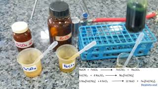 Experimento 2 parte 2  Identificación de Nitrógeno en una Sustancia Orgánica [upl. by Attiuqehs884]