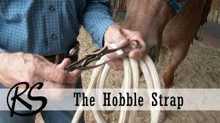 The Hobble Strap  Everyday Horsemanship with Craig Cameron [upl. by Margette]