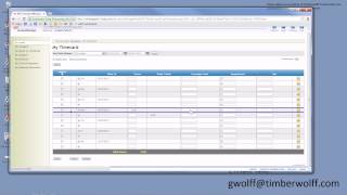 Editing Your ADP Timesheet [upl. by Sinnod489]