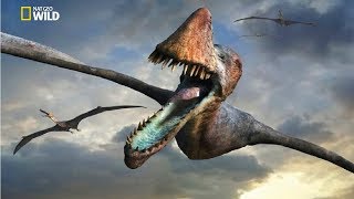 National Geographic  Flying Sky Monsters Pterosaur  New Documentary HD 2018 [upl. by Amsden]