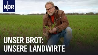 Naturschutz oder maximaler Ertrag So bauen Landwirte Getreide an  Unser Brot  NDR Doku [upl. by Acirred813]