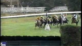 1986 Breeders Cup Steeplechase NBC [upl. by Darraj]