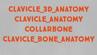 clavicle3danatomy ll clavicleanatomy ll collarbonell clavicleboneanatomy [upl. by Yriek374]