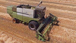 Beast from the East  Fortschritt E517  Harvest 2018 [upl. by Alamaj]